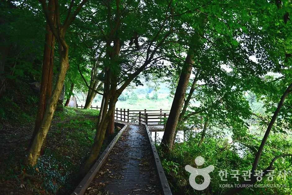 반구정습지 (15)