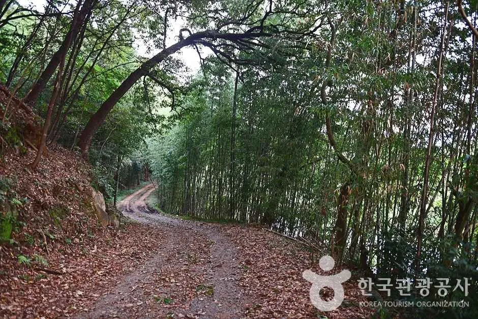 반구정습지 (7)