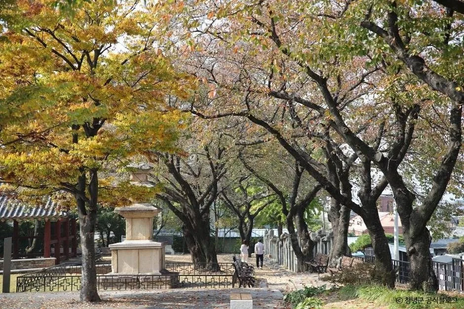 창녕 만옥정공원 (1)