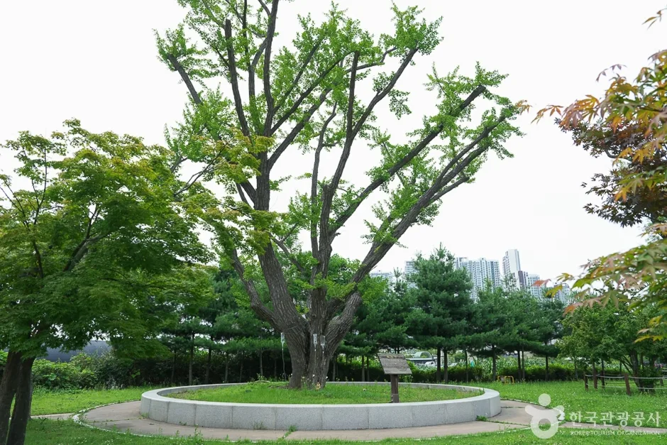 경인아라뱃길 시천공원4