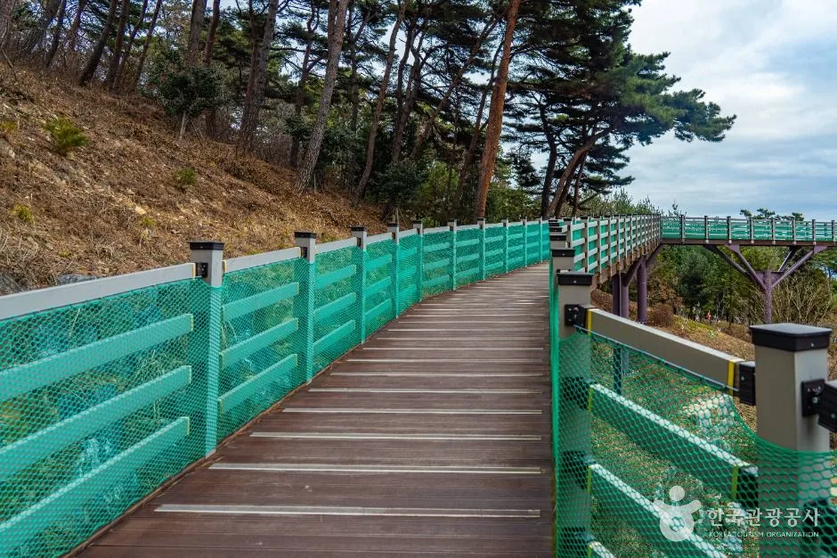 예산_봉수산자연휴양림&수목원 (3)