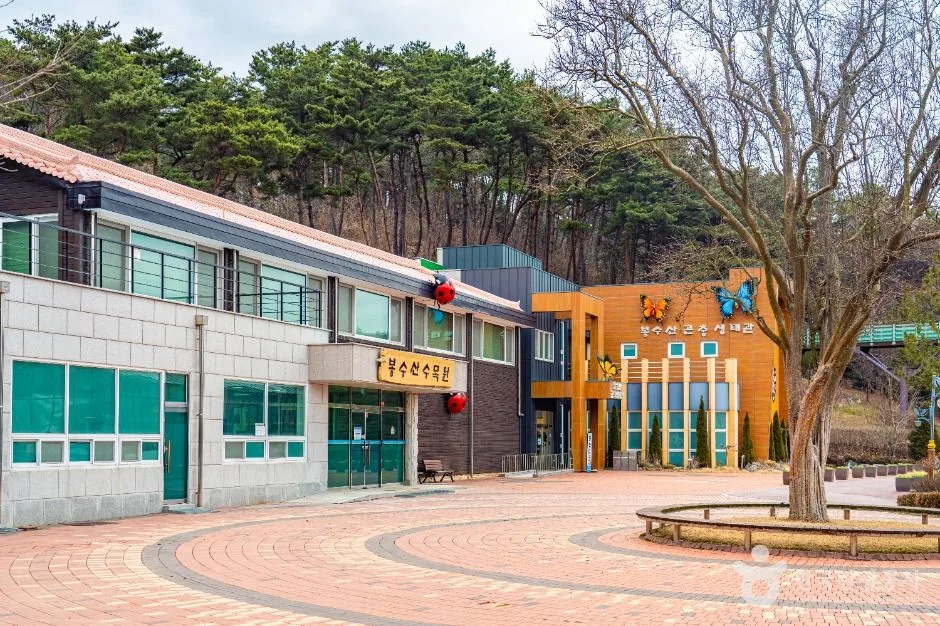 예산_봉수산자연휴양림&수목원 (6)
