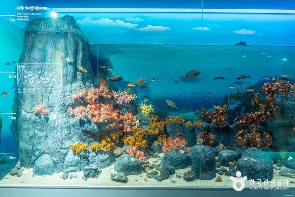 제주_제주 세계자연유산센터 (7).jpg
