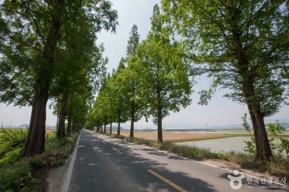 창원 죽동마을