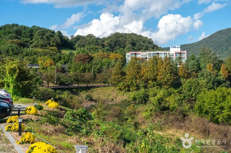 충주_충주호 종댕이길 (3)