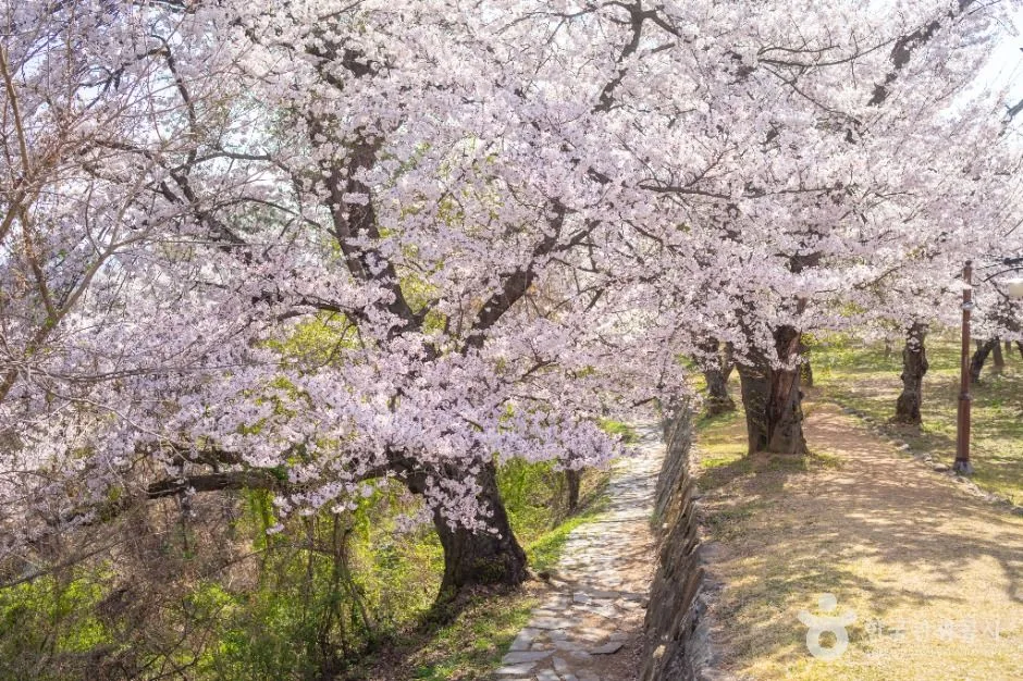사천선진리성