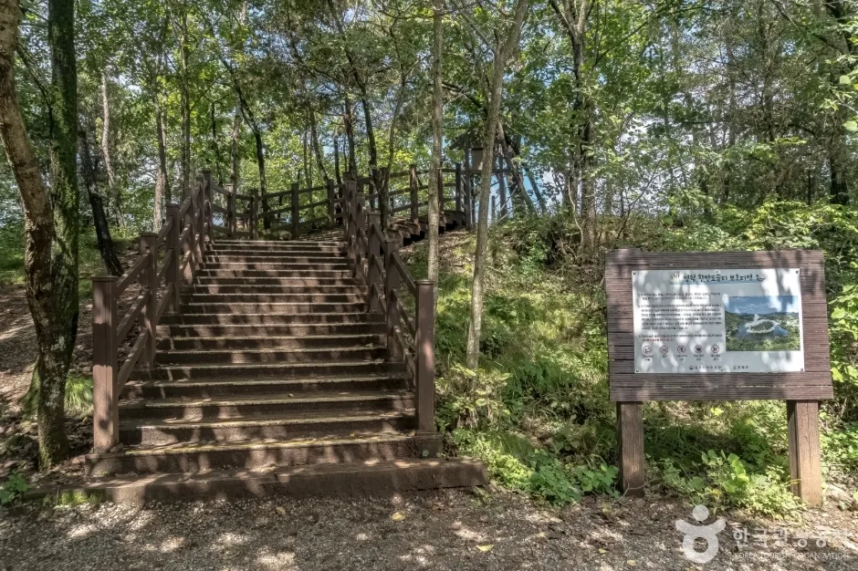 오간재전망대 (6)