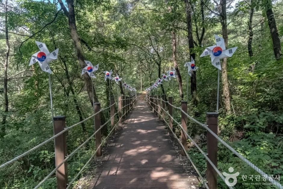 오간재전망대 (8)