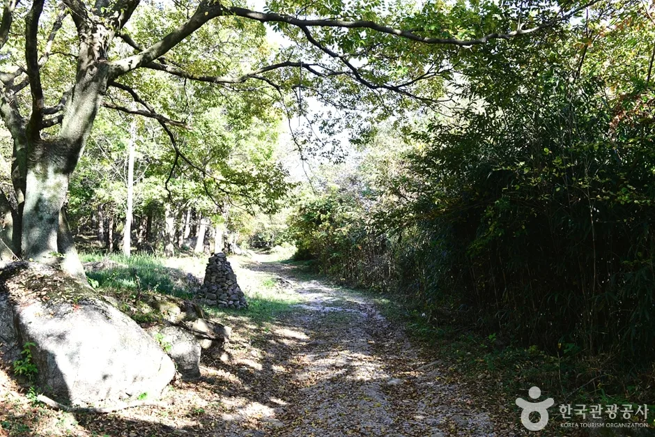 고산