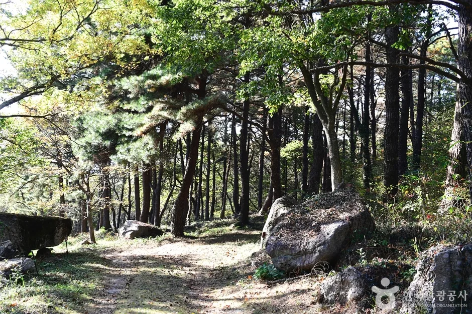 전북_고창_고산 (6)
