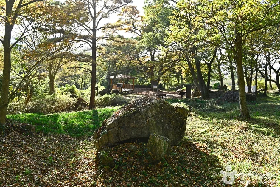 전북_고창_고산 (7)