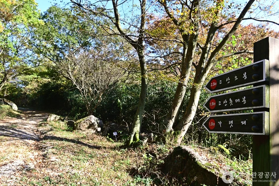 전북_고창_고산 (19)