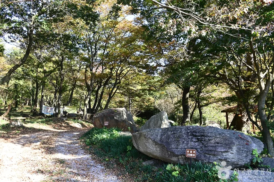 전북_고창_고산 (16)