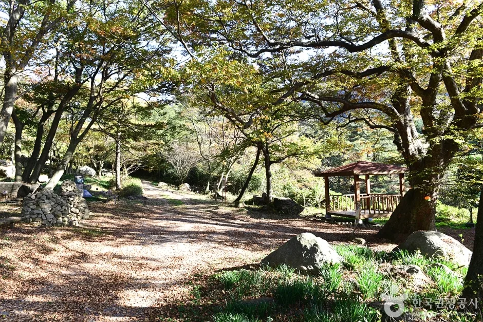 전북_고창_고산 (8)
