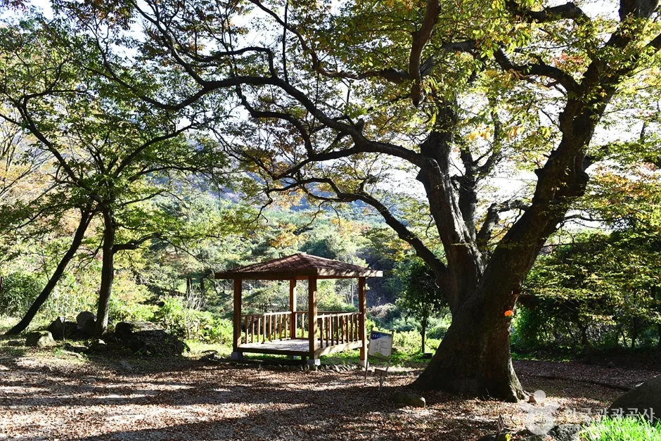 전북_고창_고산 (17)