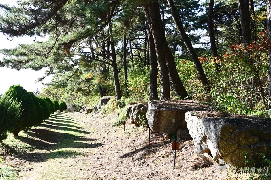 전북_고창_고산 (5)