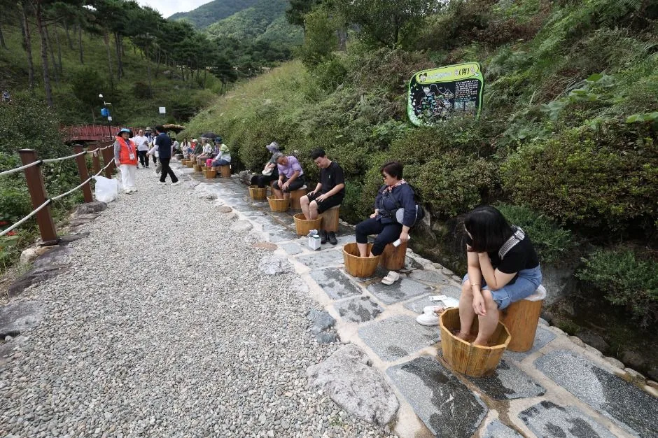 2026 산청한방약초축제 (4).JPG