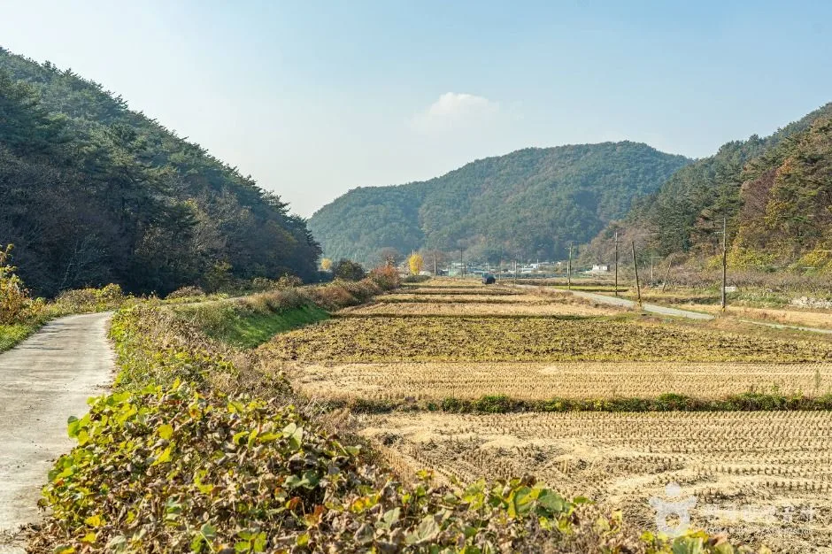 화순_봉하산촌마을 (1)