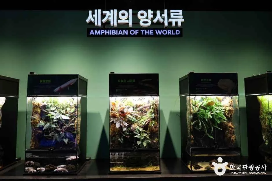 충북_충주_충주아쿠아리움_내부_2.jpg