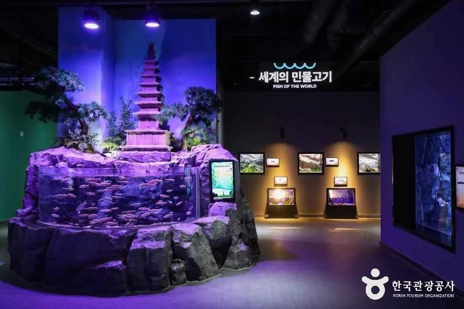 충북_충주_충주아쿠아리움_내부_1.jpg