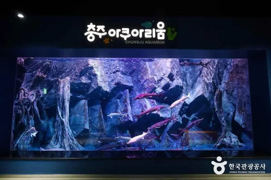 충북_충주_충주아쿠아리움_내부_7.jpg