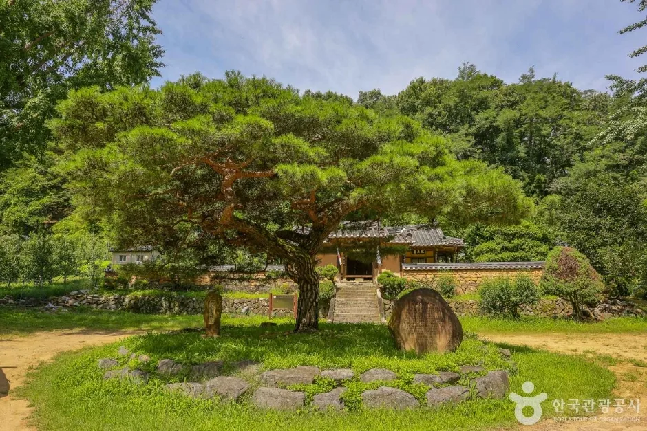 평광동 사과마을 (4)