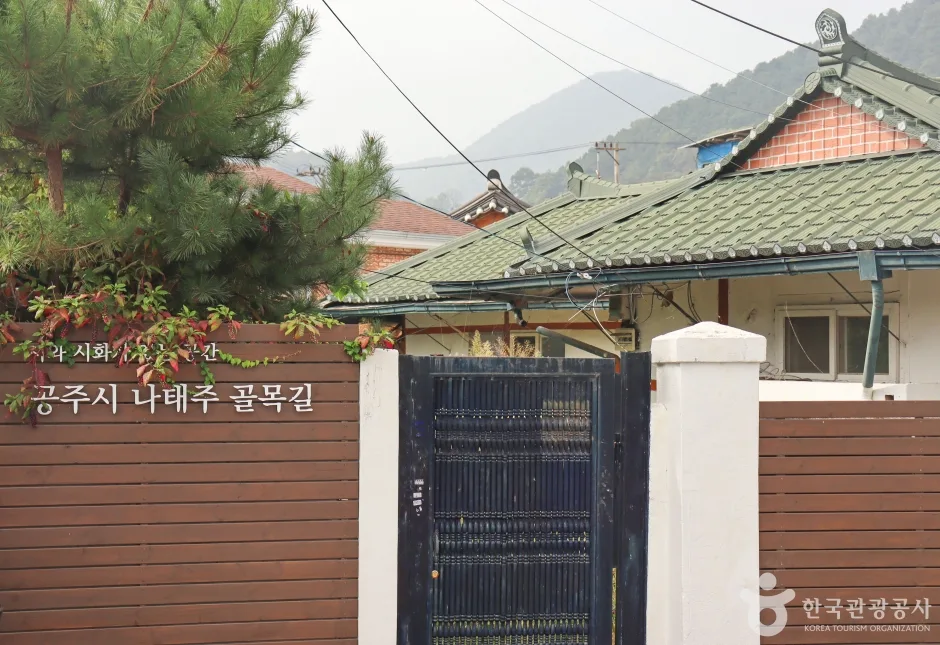 나태주 골목길 (7)