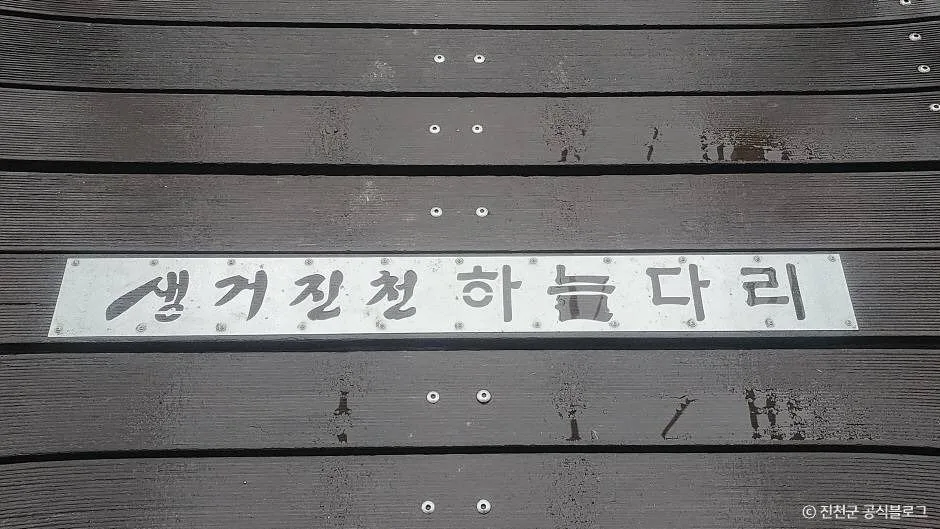 진천_하늘다리 (6)