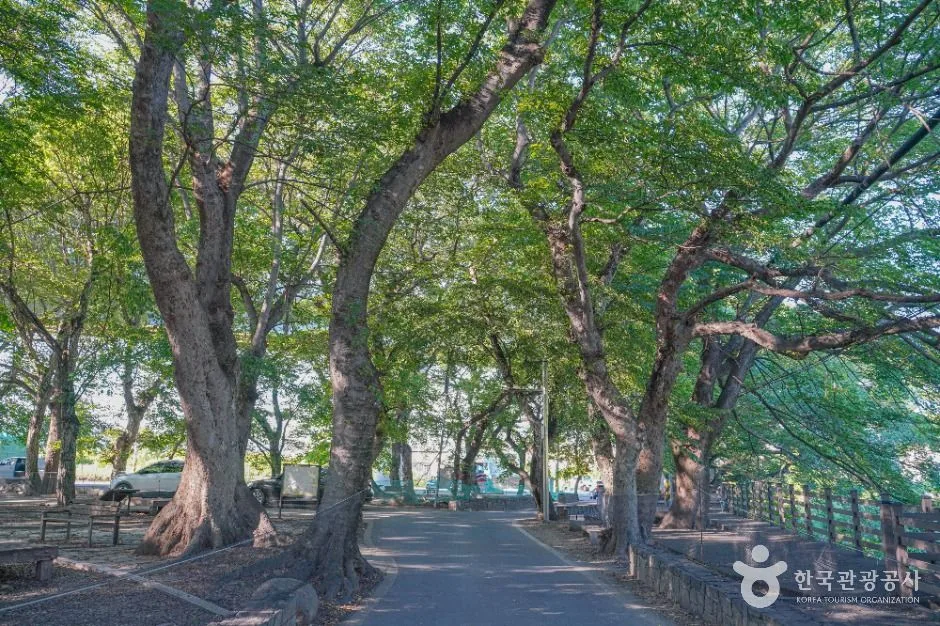 김해_용전숲(용전마을 당산숲) (4)