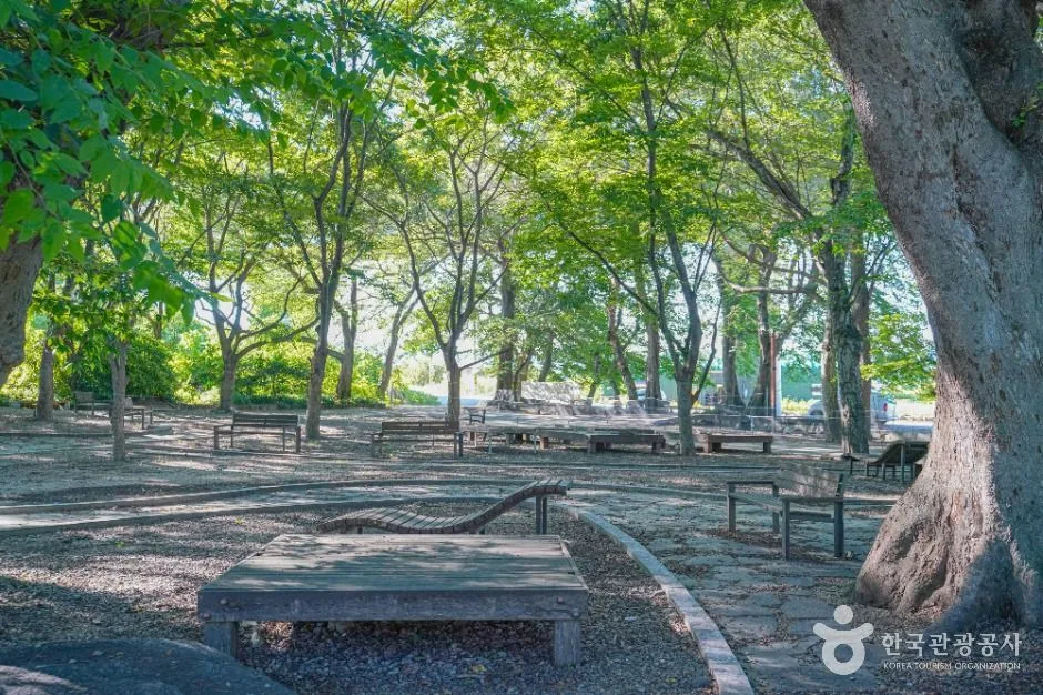 김해_용전숲(용전마을 당산숲) (3)