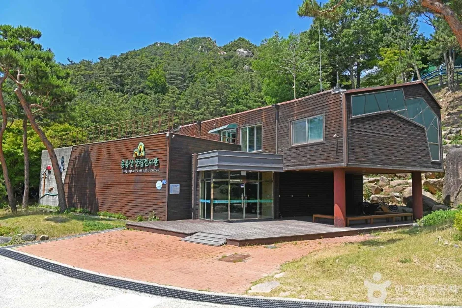 용봉산자연휴양림 (2)