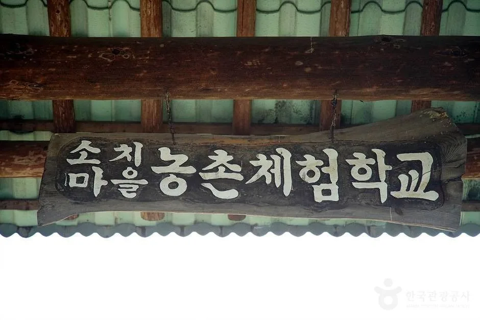 인제 하늘여울소치마을 (22)