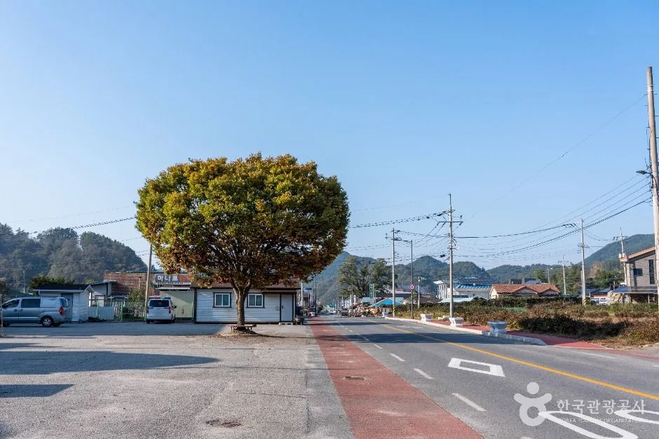 제천_월악산 약초마을 (6)