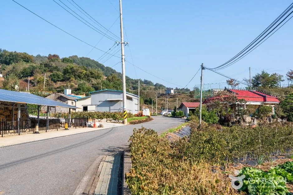 제천_월악산 약초마을 (4)