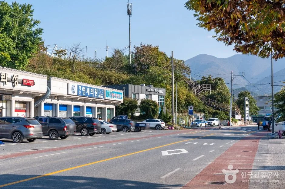 제천_월악산 약초마을 (2)