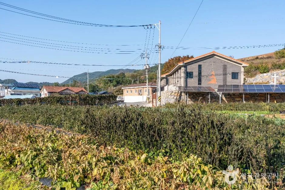제천_월악산 약초마을 (3)