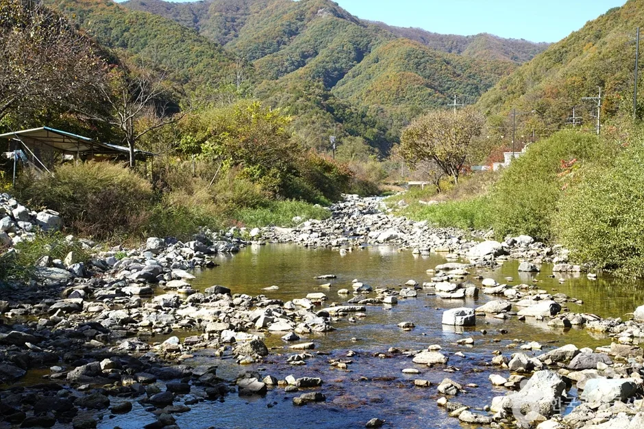 담터계곡 (8)