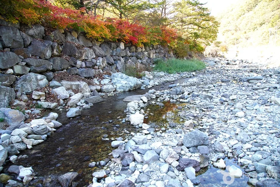 담터계곡 (5)