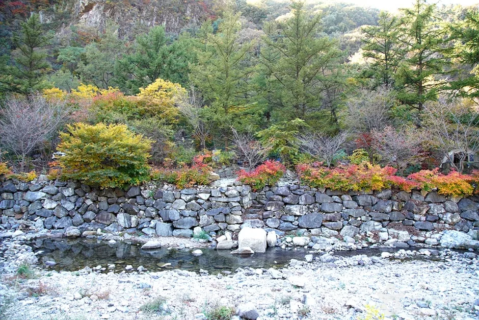 담터계곡 (11)