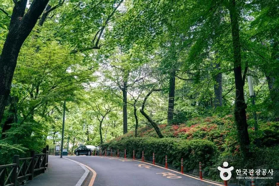 광주_사직공원(광주) (1)