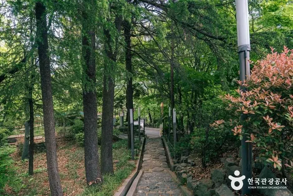 광주_사직공원_외부_4.jpg