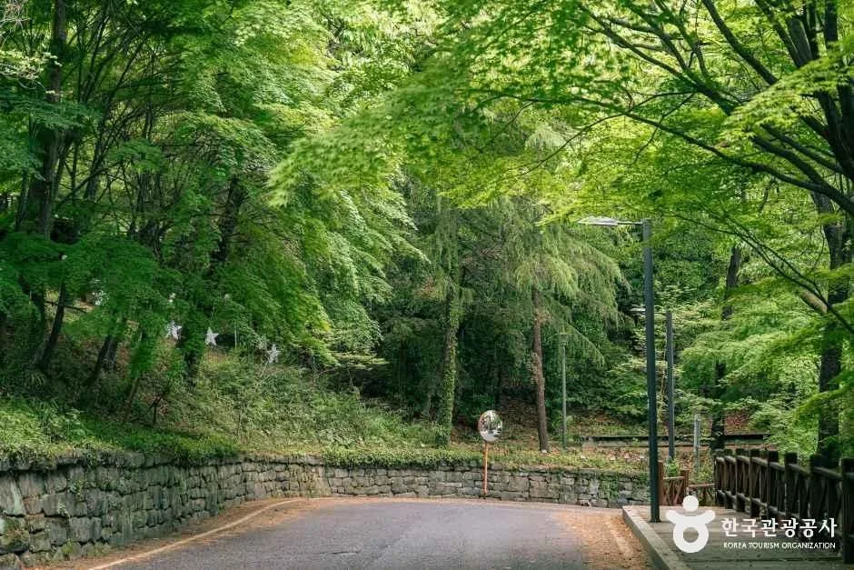 광주_사직공원(광주) (6)