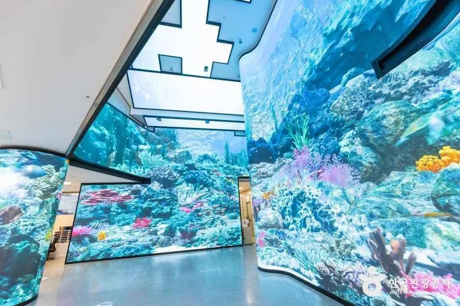 인천_강화자연사박물관 (8).jpg