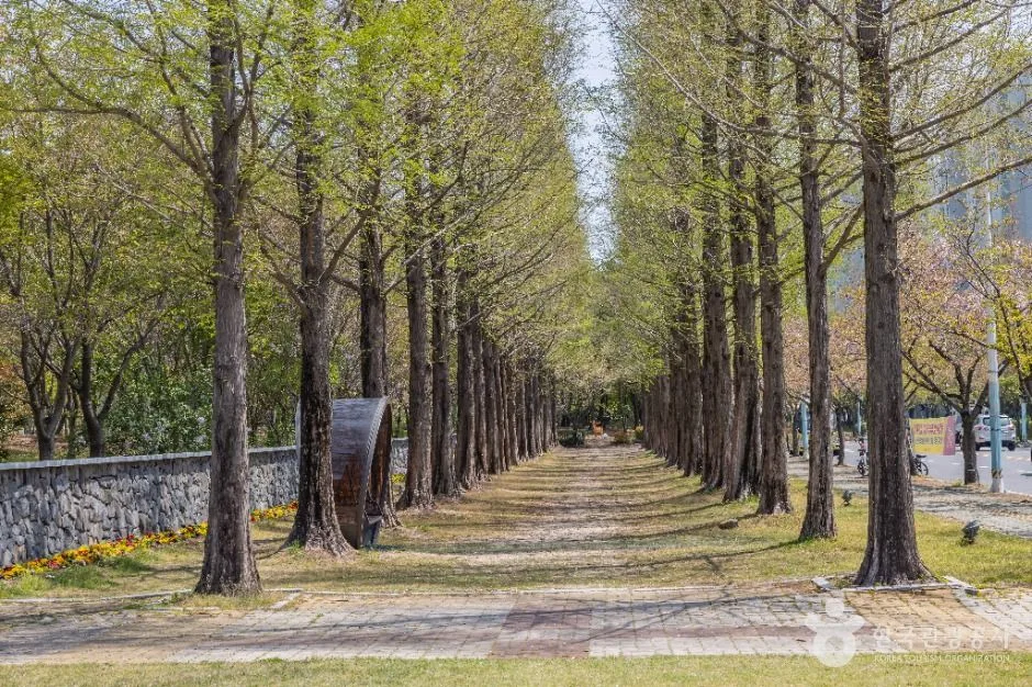 부산_명지동근린공원 (9)