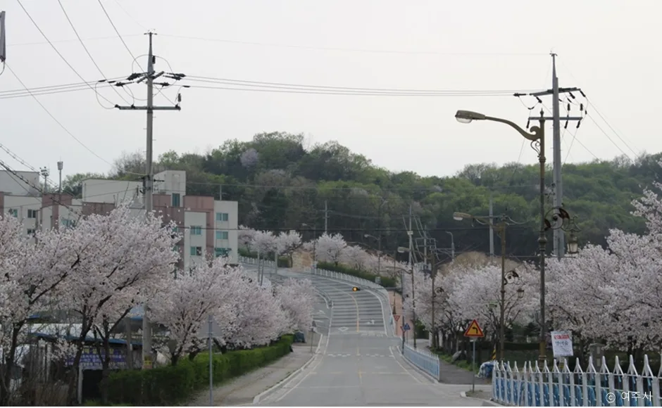 경기_여주시_가남체육공원 (1).jpg