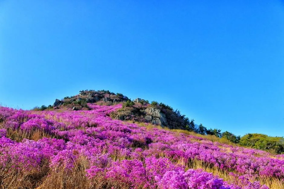 대금산(거제)