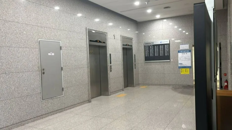 성신여자대학교_잔디밭 풍경