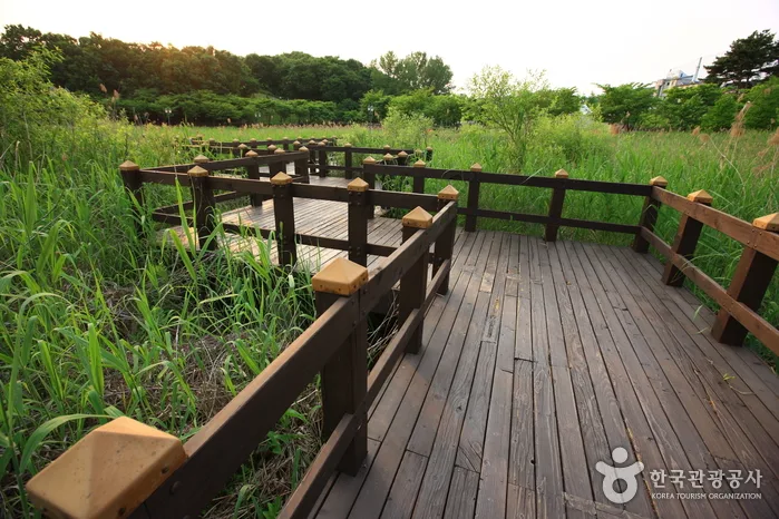 도심에서 즐기는 오붓한 자연과 책의 대화