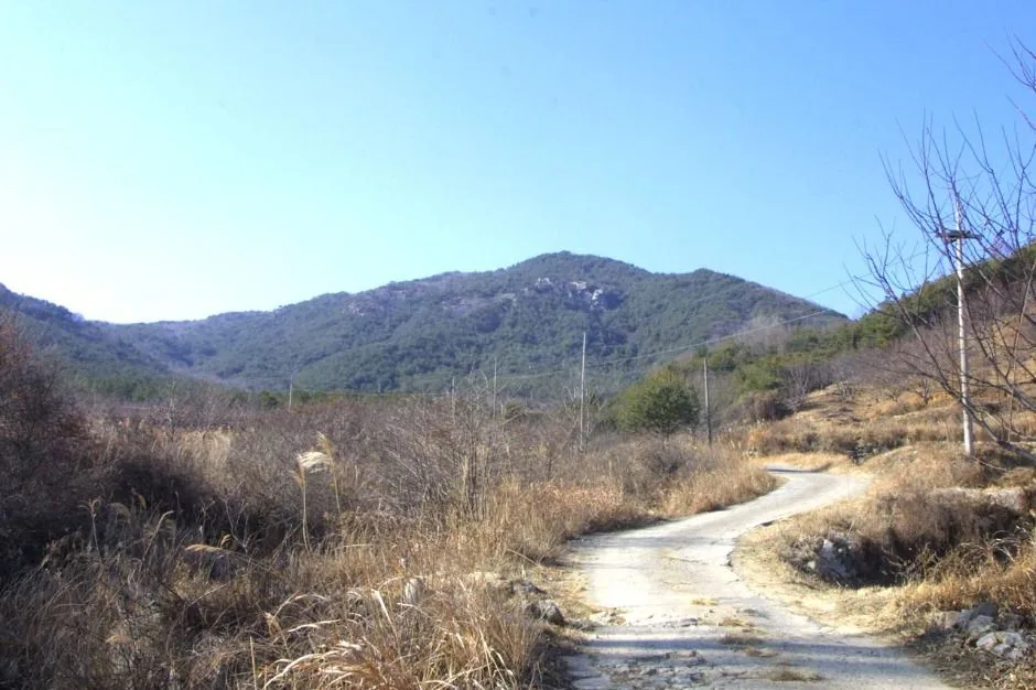 대성산