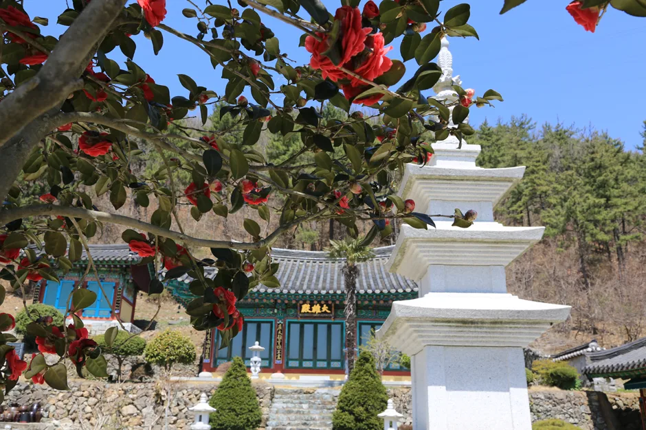 경남_하동군_금정사 (2).jpg